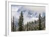 Early in Morning Frost on Trees in Mount Siguniang-Alex Treadway-Framed Photographic Print