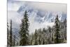 Early in Morning Frost on Trees in Mount Siguniang-Alex Treadway-Mounted Photographic Print