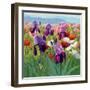 Early June-Shirley Novak-Framed Art Print