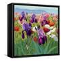 Early June-Shirley Novak-Framed Stretched Canvas