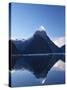 Early Light on Mitre Peak, Milford Sound, Fiordland National Park, South Island, New Zealand-David Wall-Stretched Canvas