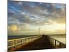 Early Light on Urangan Pier, Hervey Bay, Queensland, Australia-David Wall-Mounted Photographic Print