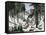 Early Logging in the White Mountains of Maine or New Hampshire-null-Framed Stretched Canvas