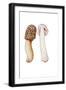 Black Frame