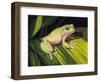 Early Mornin' Dew-Barbara Keith-Framed Premium Giclee Print