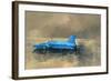 Early Morning at Coniston-Peter Miller-Framed Giclee Print