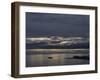 Early Morning at Ushuaia Coast, Tierra Del Fuego, Argentina, South America-Thorsten Milse-Framed Photographic Print