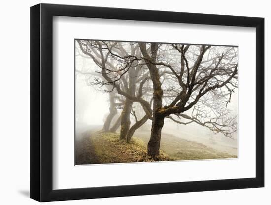 Early Morning Calm-David Winston-Framed Giclee Print