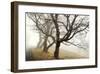 Early Morning Calm-David Winston-Framed Giclee Print