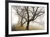 Early Morning Calm-David Winston-Framed Giclee Print