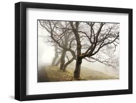 Early Morning Calm-David Lorenz Winston-Framed Art Print