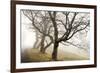 Early Morning Calm-David Lorenz Winston-Framed Art Print