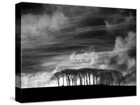 Early Morning Clouds-Martin Henson-Stretched Canvas