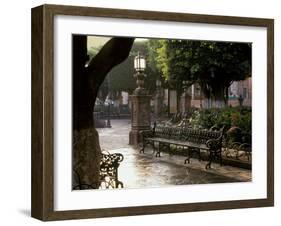 Early Morning, El Jardin, San Miguel de Allende, Mexico-Inger Hogstrom-Framed Premium Photographic Print