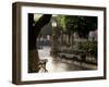 Early Morning, El Jardin, San Miguel de Allende, Mexico-Inger Hogstrom-Framed Photographic Print