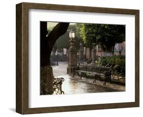 Early Morning, El Jardin, San Miguel de Allende, Mexico-Inger Hogstrom-Framed Photographic Print