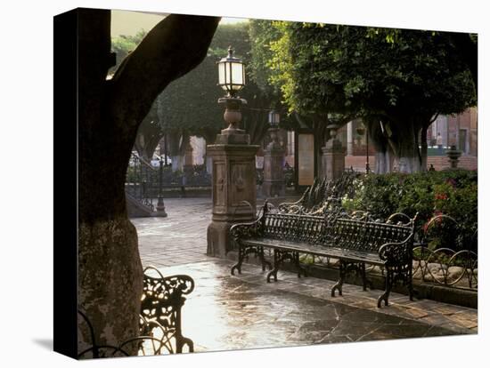 Early Morning, El Jardin, San Miguel de Allende, Mexico-Inger Hogstrom-Stretched Canvas