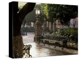 Early Morning, El Jardin, San Miguel de Allende, Mexico-Inger Hogstrom-Stretched Canvas