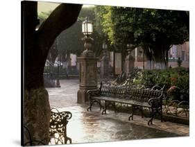 Early Morning, El Jardin, San Miguel de Allende, Mexico-Inger Hogstrom-Stretched Canvas