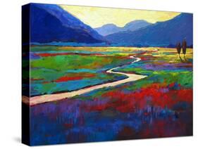 Early Morning Fauve Landscape-Patty Baker-Stretched Canvas