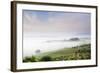 Early Morning Fog at the Farmhouse Belvedere-Markus Lange-Framed Photographic Print