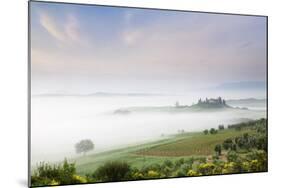 Early Morning Fog at the Farmhouse Belvedere-Markus Lange-Mounted Photographic Print
