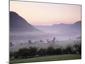 Early Morning Fog, Filstal Valley, Swabian Alb, Baden Wurttemberg, Germany, Europe-Markus Lange-Mounted Photographic Print