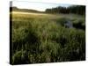 Early Morning Fog on Packer Meadows, Montana, USA-Chuck Haney-Stretched Canvas