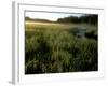 Early Morning Fog on Packer Meadows, Montana, USA-Chuck Haney-Framed Photographic Print