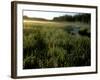 Early Morning Fog on Packer Meadows, Montana, USA-Chuck Haney-Framed Photographic Print