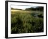 Early Morning Fog on Packer Meadows, Montana, USA-Chuck Haney-Framed Photographic Print