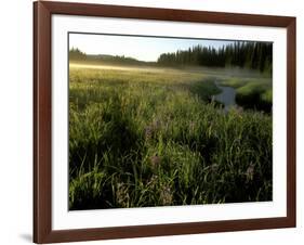 Early Morning Fog on Packer Meadows, Montana, USA-Chuck Haney-Framed Photographic Print