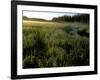 Early Morning Fog on Packer Meadows, Montana, USA-Chuck Haney-Framed Photographic Print