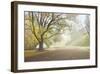 Early Morning Fog-Donald Satterlee-Framed Giclee Print