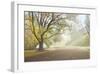 Early Morning Fog-Donald Satterlee-Framed Giclee Print