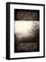 Early Morning Fog-Janel Pahl-Framed Giclee Print