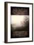 Early Morning Fog-Janel Pahl-Framed Giclee Print