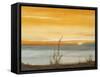 Early Morning I-Nelly Arenas-Framed Stretched Canvas