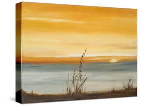 Early Morning I-Nelly Arenas-Stretched Canvas