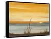 Early Morning I-Nelly Arenas-Framed Stretched Canvas