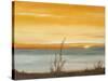 Early Morning I-Nelly Arenas-Stretched Canvas