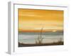 Early Morning I-Nelly Arenas-Framed Premium Giclee Print