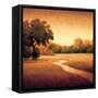 Early Morning I-Gregory Williams-Framed Stretched Canvas