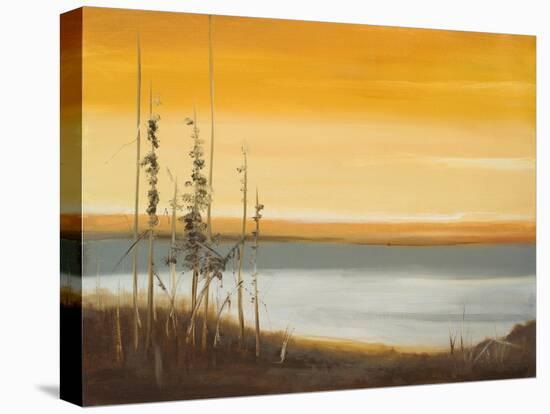 Early Morning II-Nelly Arenas-Stretched Canvas