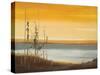 Early Morning II-Nelly Arenas-Stretched Canvas