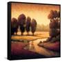 Early Morning II-Gregory Williams-Framed Stretched Canvas