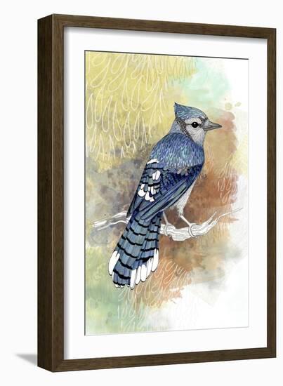 Early Morning Jay-The Tangled Peacock-Framed Giclee Print