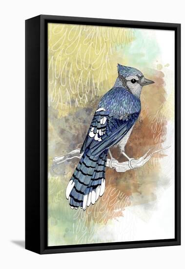 Early Morning Jay-The Tangled Peacock-Framed Stretched Canvas