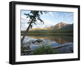 Early Morning Light at Pyramid Lake, Jasper National Park, UNESCO World Heritage Site, British Colu-Martin Child-Framed Photographic Print