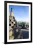 Early Morning Light at the Temple Complex of Borobodur, Java, Indonesia, Southeast Asia, Asia-Michael Runkel-Framed Photographic Print